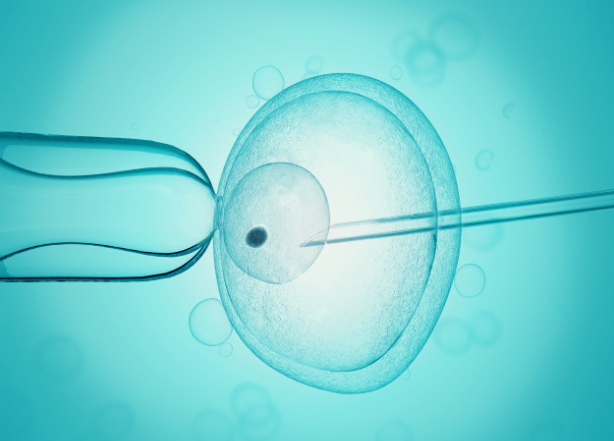 Hijos a la carta: La era Gattaca comienza con la búsqueda del mejor embrión